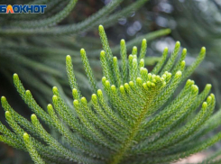 В пятницу волжанам лучше не поднимать найденные деньги: советует травница