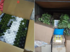 От полевой кухни до высоких технологий: Волжский закрывает потребности фронта