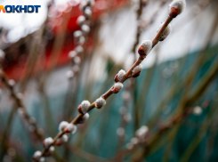 Волжский ждёт неделя затяжных дождей