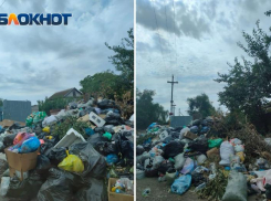 В помойку превратился СНТ «Строитель» из-за запрета проезда большегрузов по Волжской ГЭС