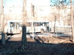 «Крови столько было, нас трясло»: водитель на Daewoo Nexia сбил старушку на переходе