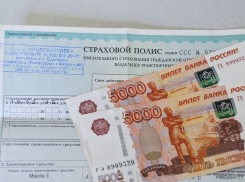 В подделке ОСАГО подозревают 34-летнюю волжанку