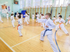 Первенство России по каратэ пройдет в «Волге»