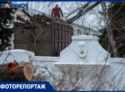 В Волжском сносят сотню деревьев в сквере: ФОТО