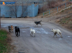 Моросящий дождь и тучи скроют от волжан солнце во вторник: прогноз погоды