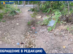 «Вроде город, а как будто в грязном лесу»: волжанка жалуется на мусор и сухостой в Волжском