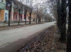 Заморозки и большую влажность пообещали волжанам перед выходными