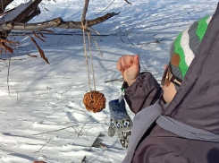 Мастер-класс по изготовлению экологичных кормушек пройдет в Волжском