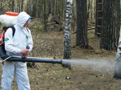 Волжан не пустят на природу на майские праздники?