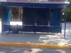 На месте бывшего Aik власти Волжского решили сделать уютную остановку