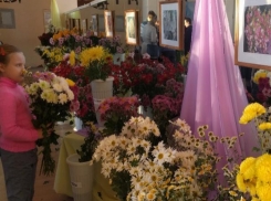 Жители и гости Волжского разделили победу в конкурсе «Цветочная мозаика»