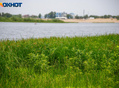 В Волжском утонул 14-летний подросток, тело ищут водолазы