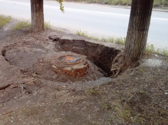 Опасное для жизни дерево аварийная служба лишь оградила ленточкой в Волжском