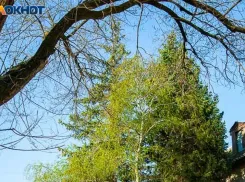 Закрывать окна на ночь советуют жителям Волжского