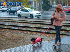 Дождливое и солнечное воскресенье ждет волжан