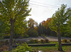 Волжане попросили благоустроить сквер вдоль старейшей улицы Коммунистическая