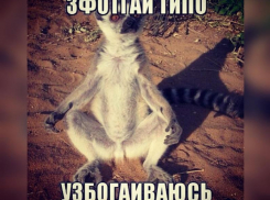 «Узбагойся» в туманную пятницу: Волжский ожидает размеренный день