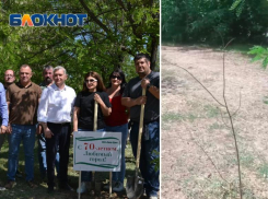 Подарок депутатов к юбилею Волжского засох сразу после праздника