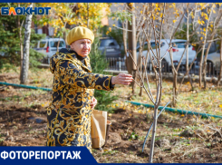 За модернизацией сквера на Комсомольской стоит история любви первостроителей Волжского