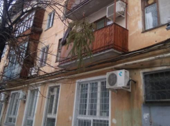 В Волжском на деревьях распустились елки