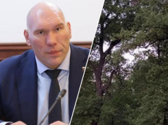 Если поймы нет, зачем по ней ездить: Николай Валуев рад, что дубы в Волгоградской области спасли