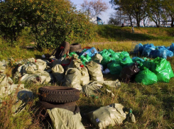 В Волго-Ахтубинской пойме с берегов ерика Верблюд вывезли более 3,6 кубометров мусора
