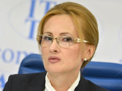 Волжане просят отклонить «пакет Яровой»