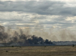 В Волжском пылает пустырь площадью 800 квадратных метров. Видео