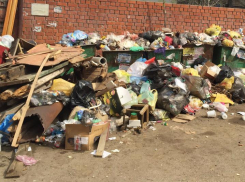 В волжской колонии ликвидировали несанкционированную свалку