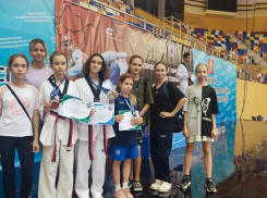 Волжане завоевали призовые места на Всероссийском турнире по тхэквондо