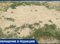 «Детей отправили играть на дорогу»: в Волжском по распоряжению начальницы ЖЭУ снесли единственную песочницу 