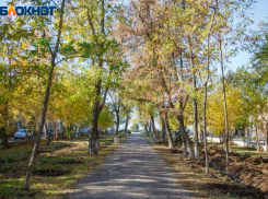 Солнечно и прохладно будет в среду в Волжском: прогноз погоды