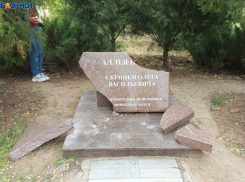 Большинство волжан считают, что нужно провести проверку в 11 школе