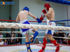 Волжане примут участие в чемпионате и первенстве Волгоградской области по тайскому боксу