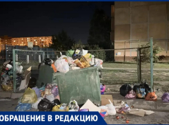 Зловонная свалка во дворе в Волжском доводит жителей до истерики: регоператор не вывозит мусор неделями