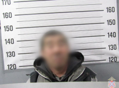 В Волжском пьяный дебошир ответил за «покушение» на суслика