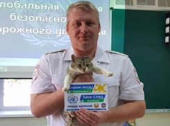  Сотрудники ГИБДД в Волжском призвали водителей сбавить скорость с помощью кота 