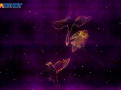 День гармонии, творчества и неожиданных встреч: подсказки звезд на 14 июня