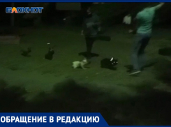 Волжане просят установить площадку для выгула собак в 31 микрорайоне
