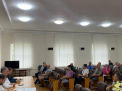 Почему горят СНТ? В Волжском провели встречу с представителями садовых товариществ