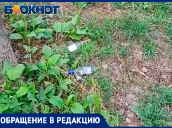 «После установки системы полива вороны заняли сквер»: волжанка жалуется на состояние сквера.