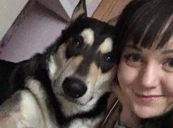 Потерявшегося пса в Волжском нашли под автомобилем