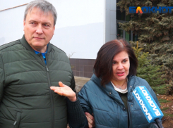 «Рубить или не рубить», - какую елку предпочитают волжане