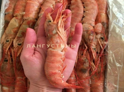 Устройте праздник вкуса для себя и ваших близких