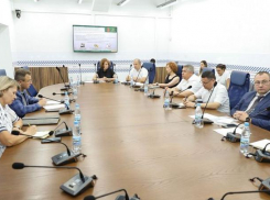 В Волгоградской думе обсудили проблемы с иностранными специалистами