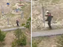 В Волжском коммунальщики косят несуществующую траву, пока город утопает в зарослях