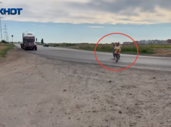 Отсутствие общественного транспорта из Волжского в Ахтубу стало поводом к обращению в прокуратуру