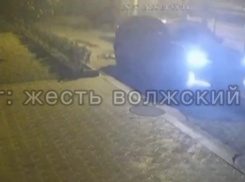 Сбил собаку и уехал: бесчеловечное ДТП попало на видео в Волжском