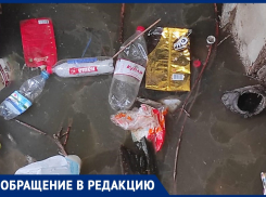 Затопленный подвал, вонь и тараканы: УК игнорирует жалобы жильцов в Волжском