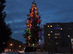 Волжан в новогодние праздники будут радовать пять елок